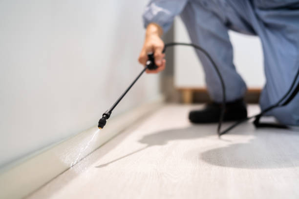 Bed Bug Pre-Treatment Preparation Assessment in Garfield