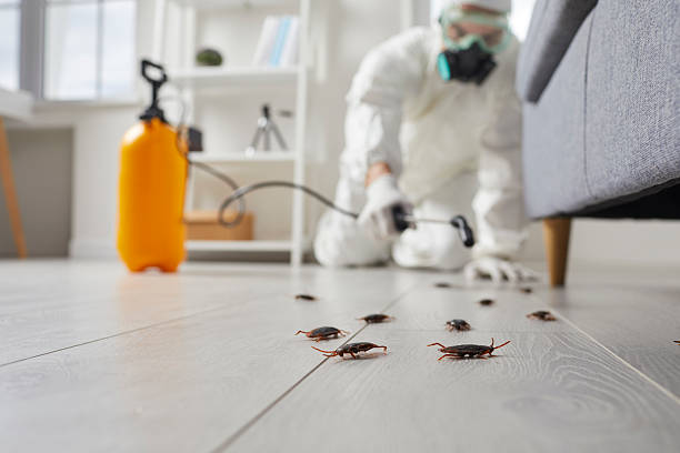Post-Treatment Bed Bug Interceptor Monitoring in Garfield