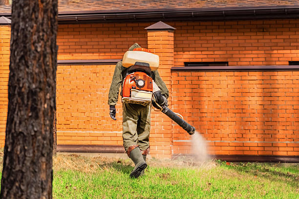 Bed Bug Clearance Verification and Documentation in Garfield